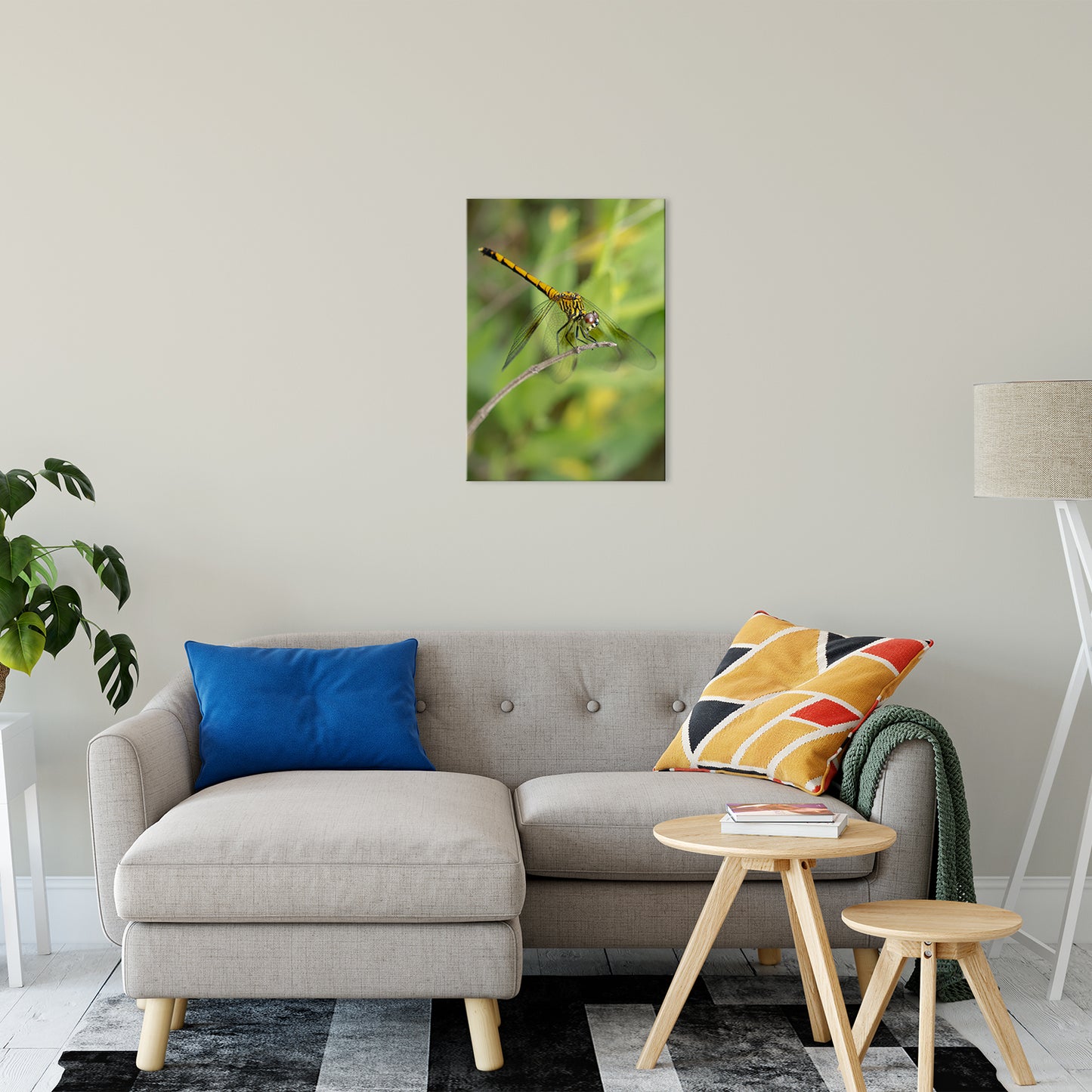 Dragonfly Animal / Wildlife Photograph Fine Art Canvas & Unframed Wall Art Prints 20" x 24" / Canvas Fine Art - PIPAFINEART