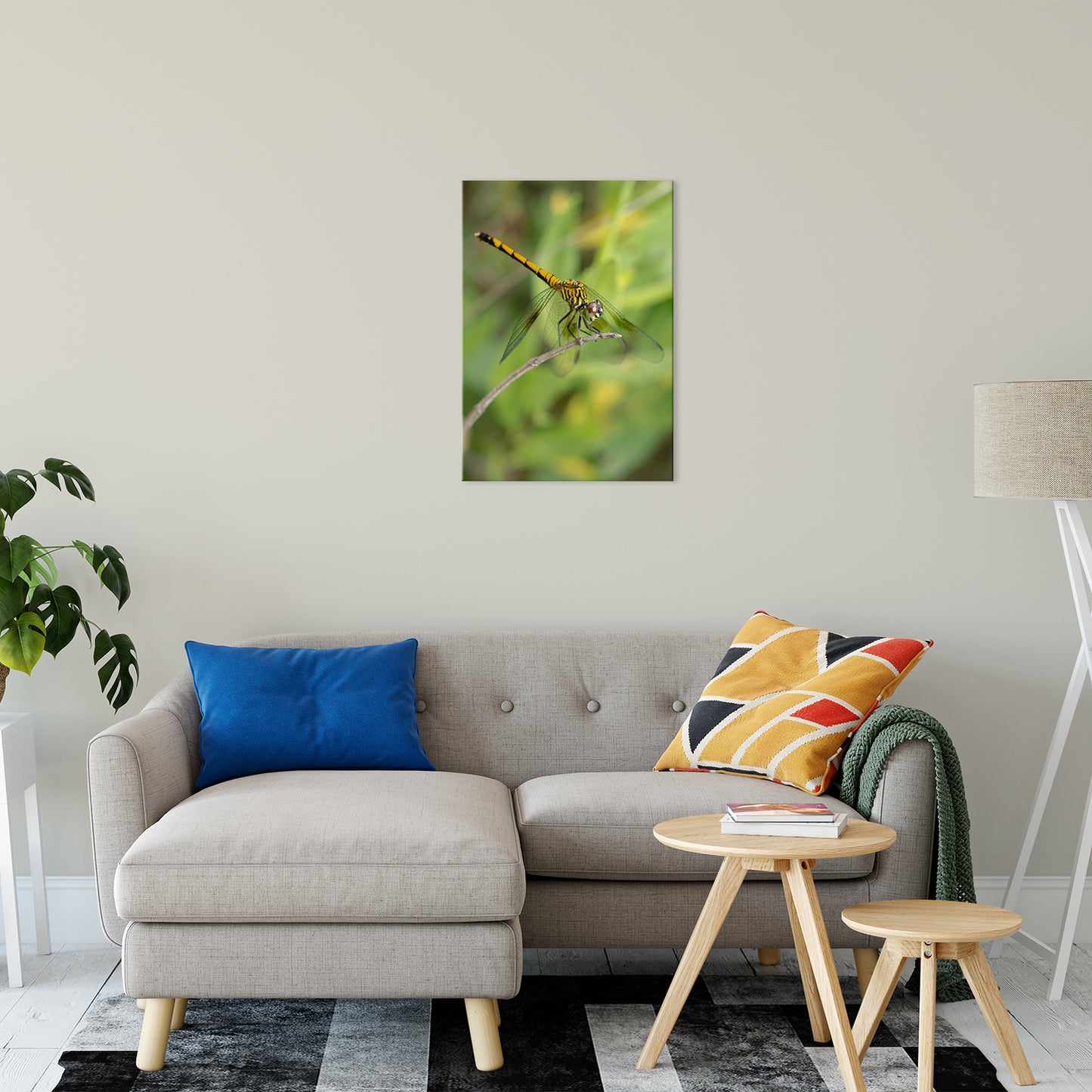 Dragonfly Animal / Wildlife Photograph Fine Art Canvas & Unframed Wall Art Prints 20" x 30" / Canvas Fine Art - PIPAFINEART