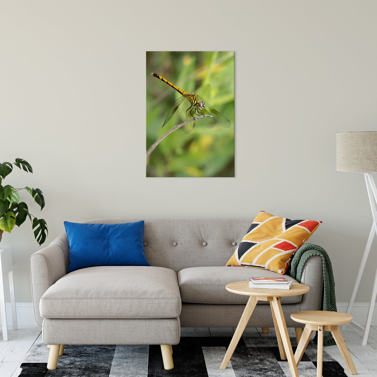 Dragonfly Animal / Wildlife Photograph Fine Art Canvas & Unframed Wall Art Prints 24" x 36" / Canvas Fine Art - PIPAFINEART