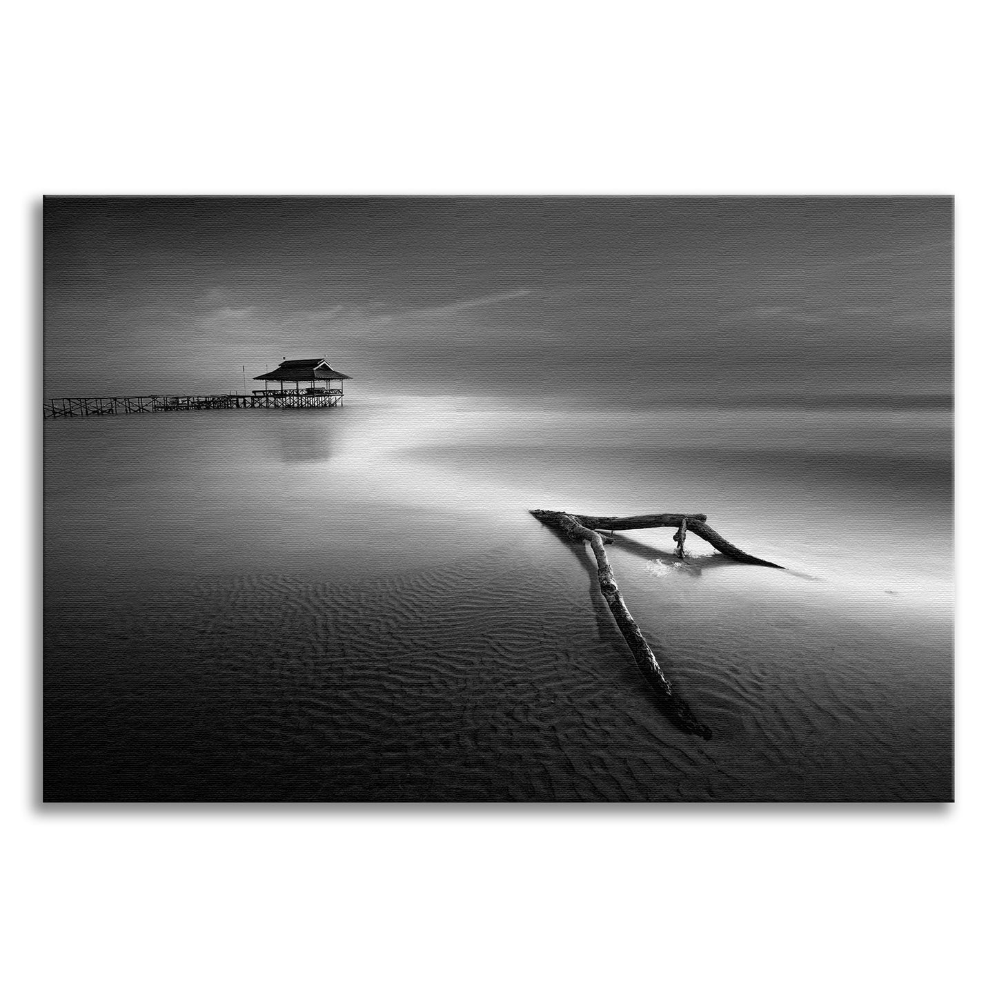 Dramatic Beach with Driftwood Black and White Coastal Landscape Photo Canvas Wall Art Prints