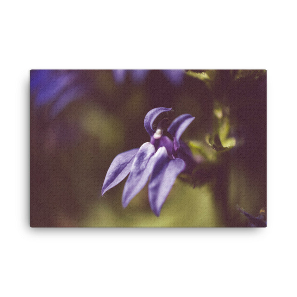 Dramatic Blue Lobelia Floral Botanical Nature Photo Canvas Wall Art Prints