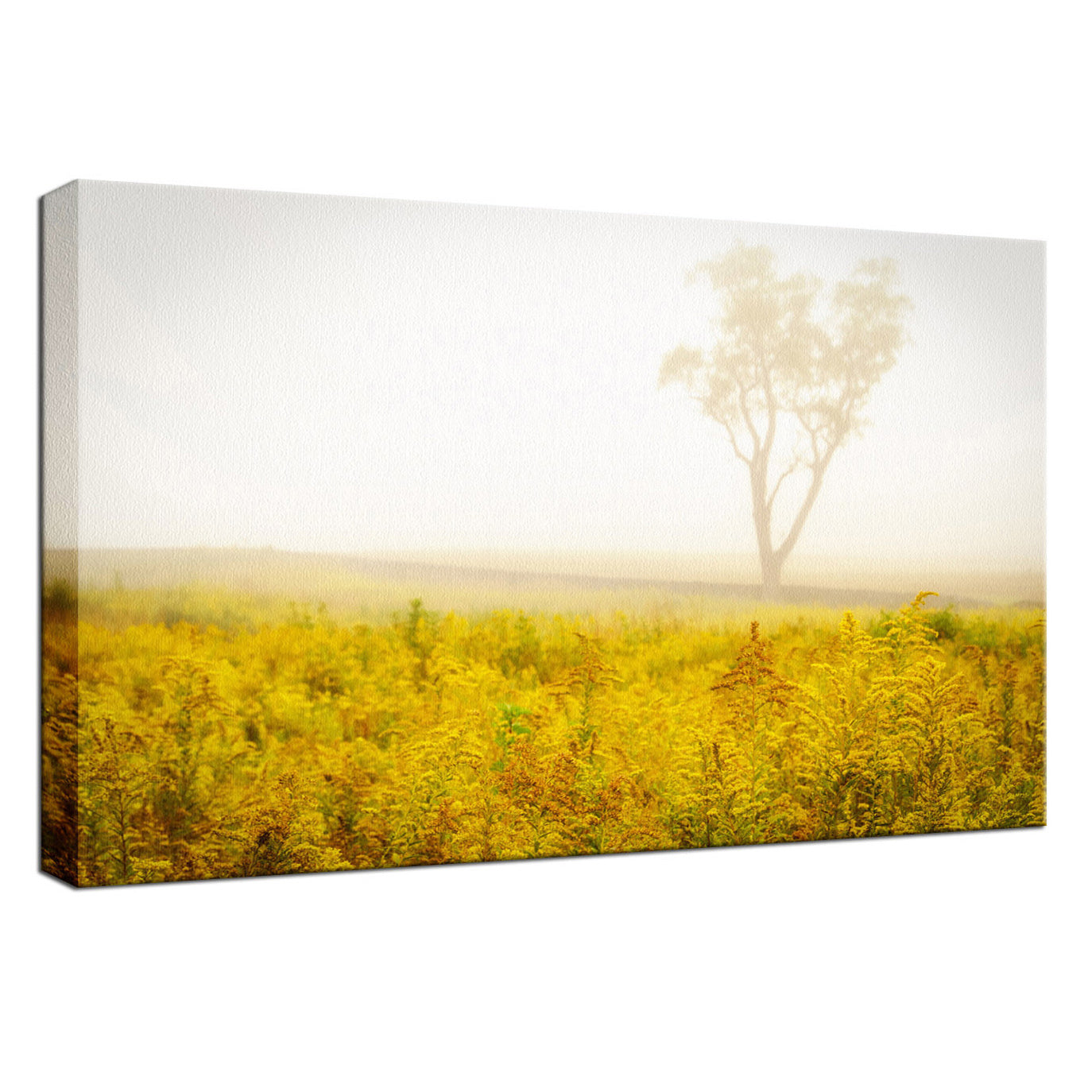 Dreams of Goldenrod and Fog Landscape Photo Fine Art Canvas Wall Art Prints - PIPAFINEART