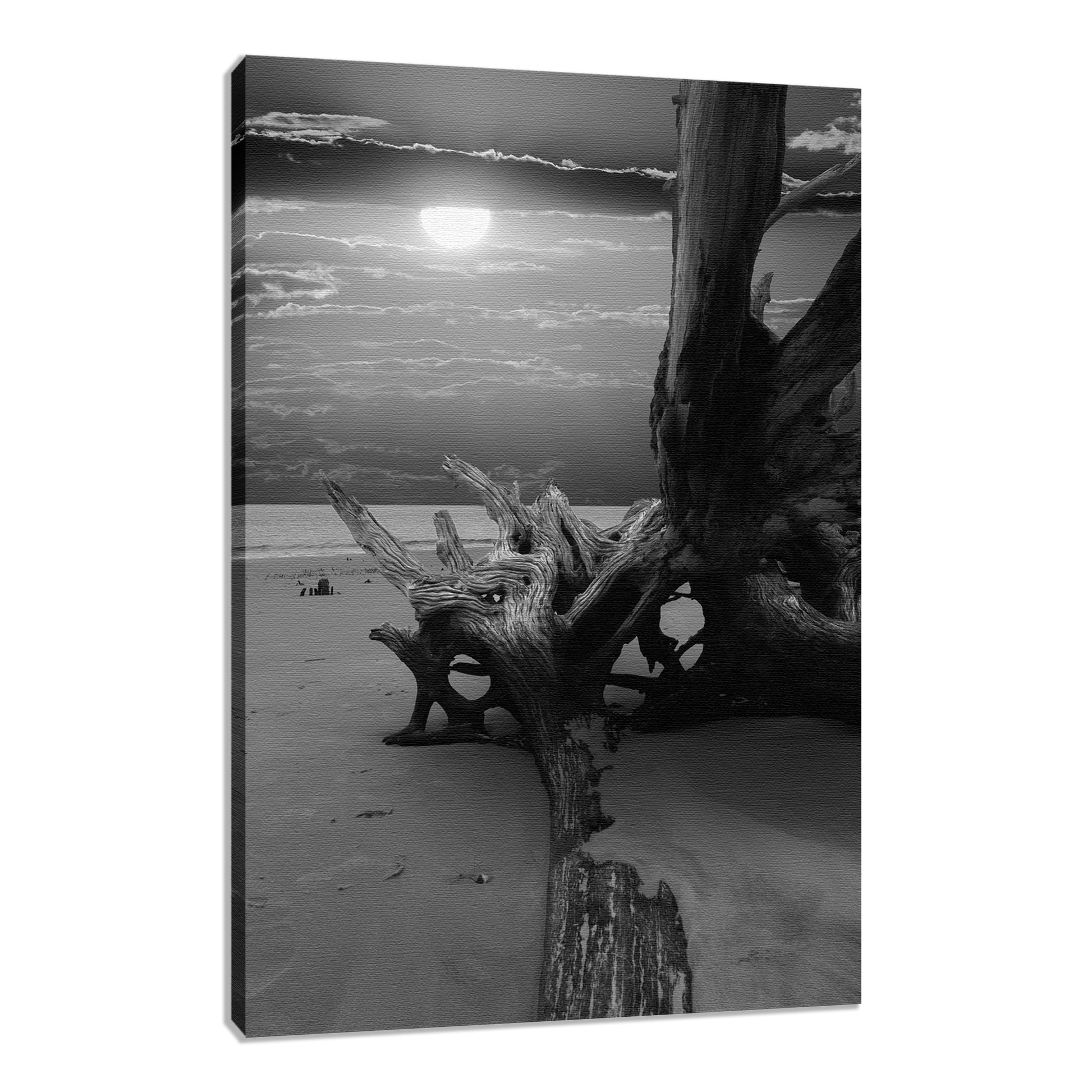 Decor Editions Fine Art Coastal: Dried Tree Roots and Sunrise 2 Black and White Landscape Photo Fine Art Canvas Wall Art Print