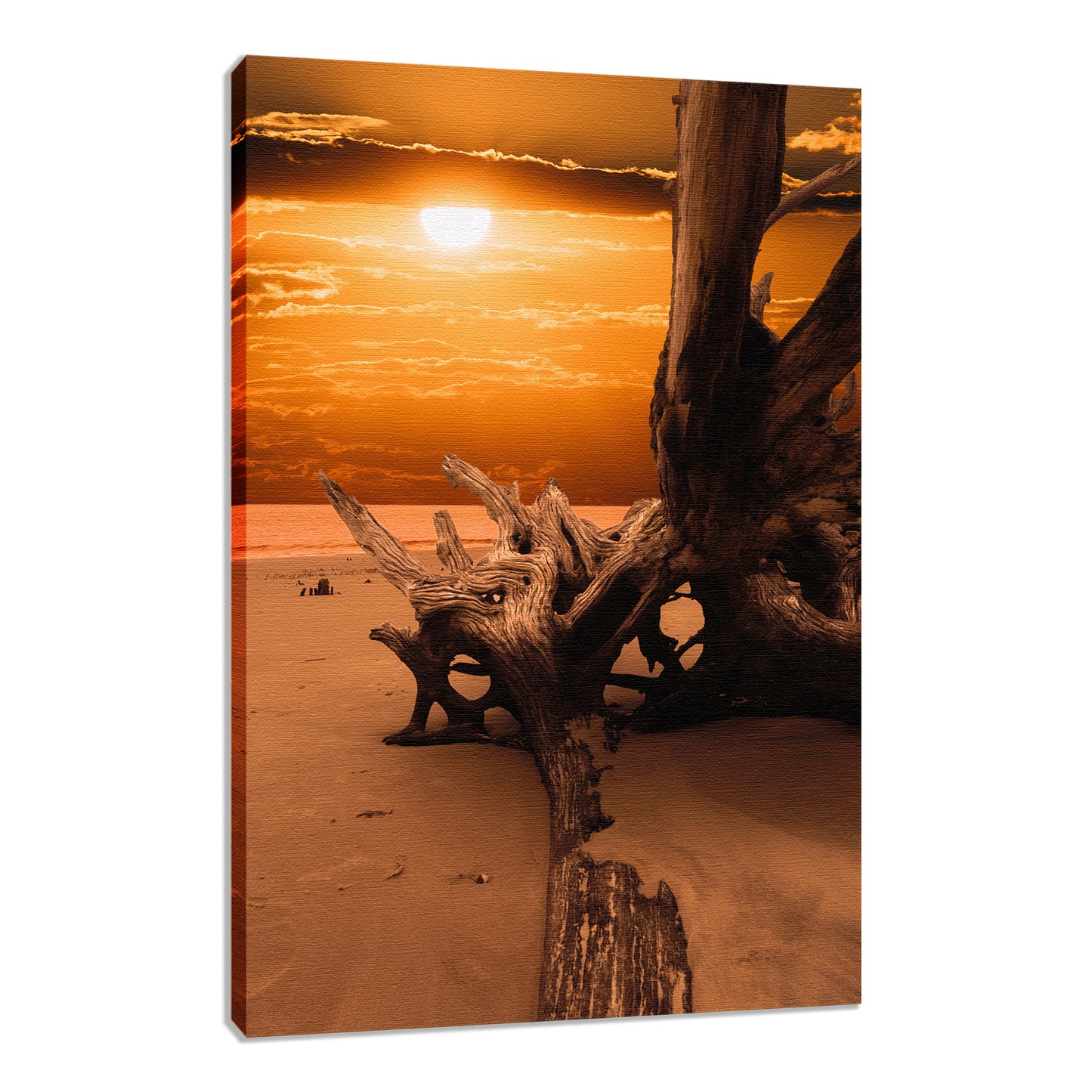 Abstract Coastal Art: Dried Tree Roots and Sunrise 2 Landscape Photo Fine Art Canvas Wall Art Print