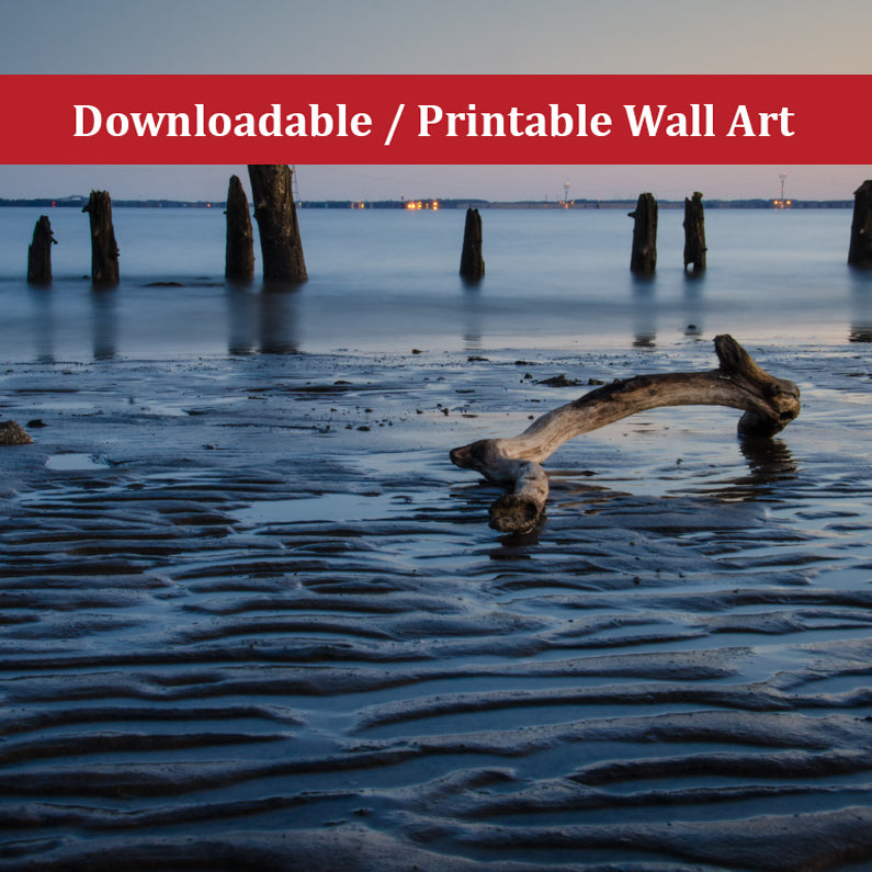 Driftwood and Sandbars Landscape Photo DIY Wall Decor Instant Download Print - Printable - PIPAFINEART