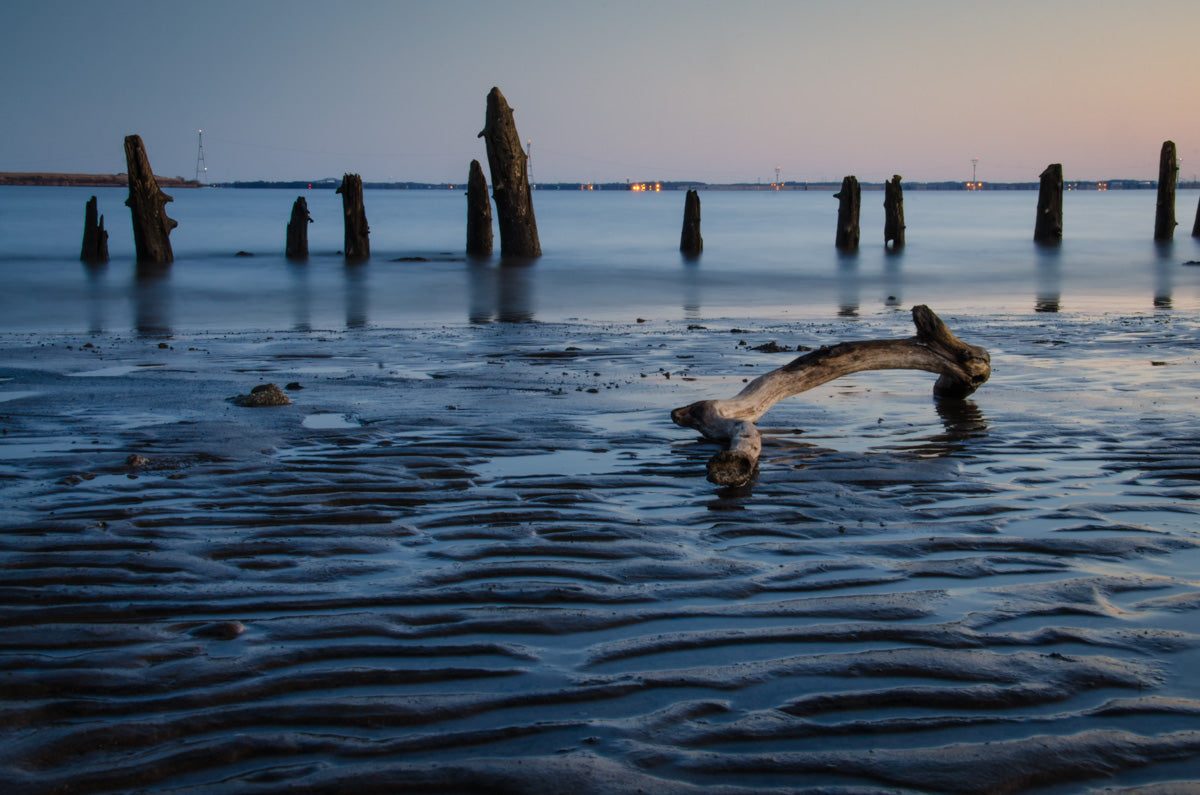 Driftwood And Sandbars Landscape Photo Fine Art Canvas Wall Art Prints - PIPAFINEART