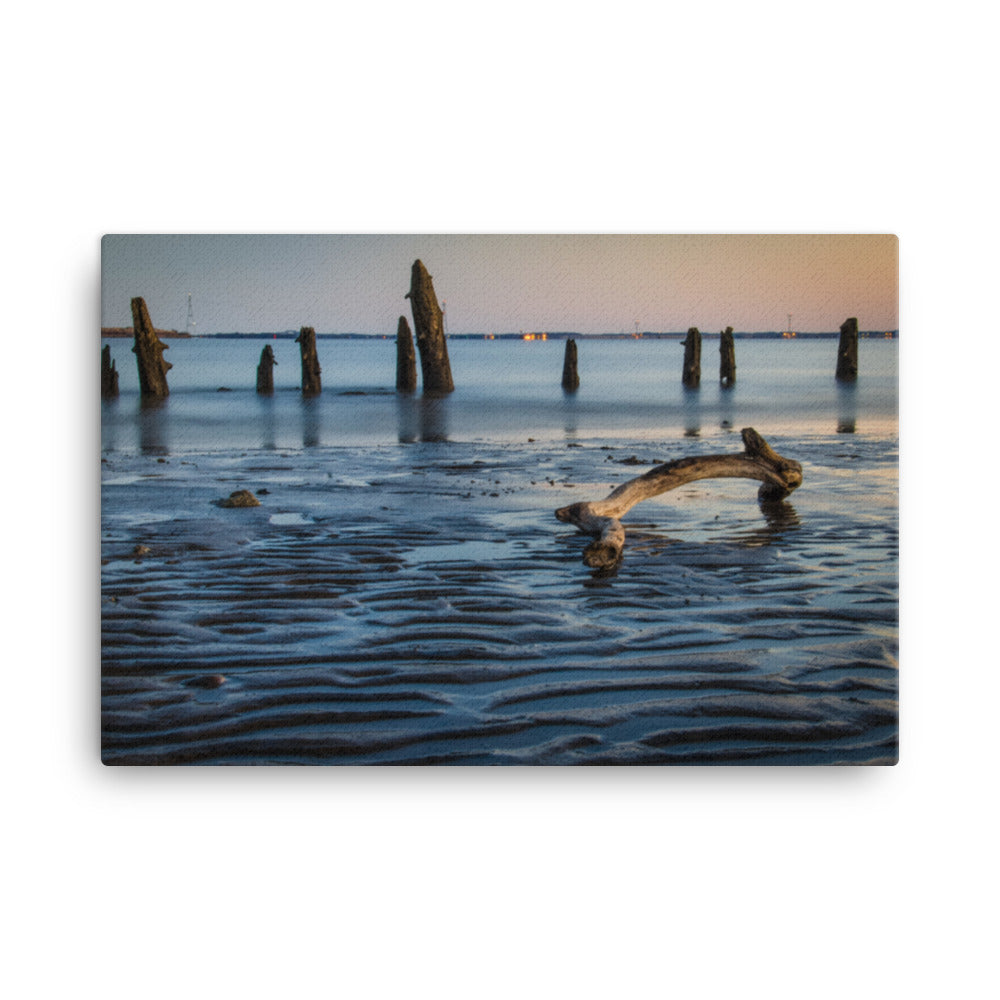 Driftwood and Sandbars Coastal Landscape Canvas Wall Art Prints