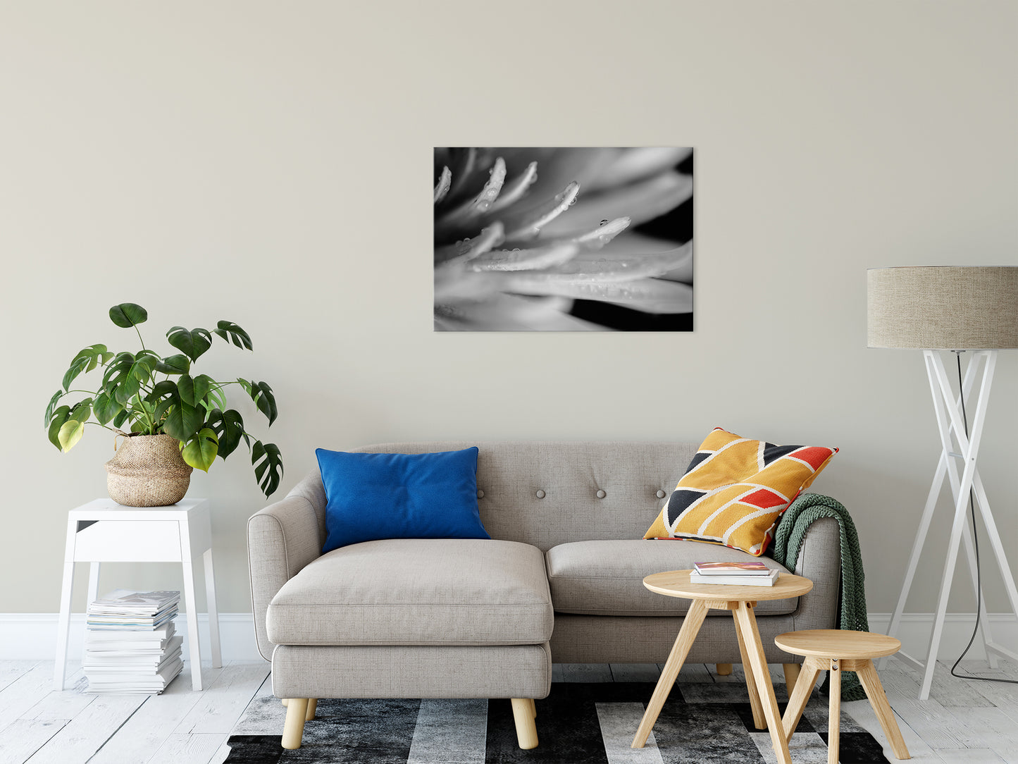 Droplets on Petals in Black & White Nature / Floral Photo Fine Art Canvas Wall Art Prints 24" x 36" - PIPAFINEART