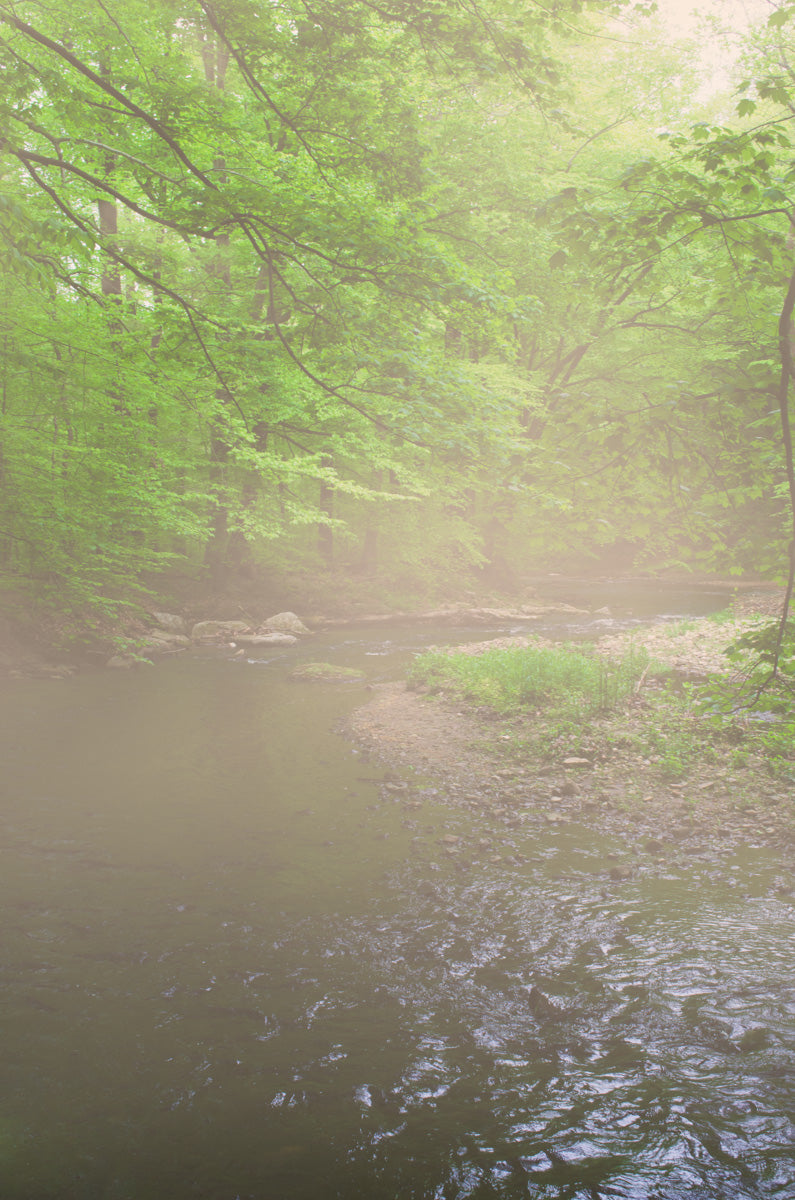 Early Morning Fog on the River Landscape Photo DIY Wall Decor Instant Download Print - Printable - PIPAFINEART