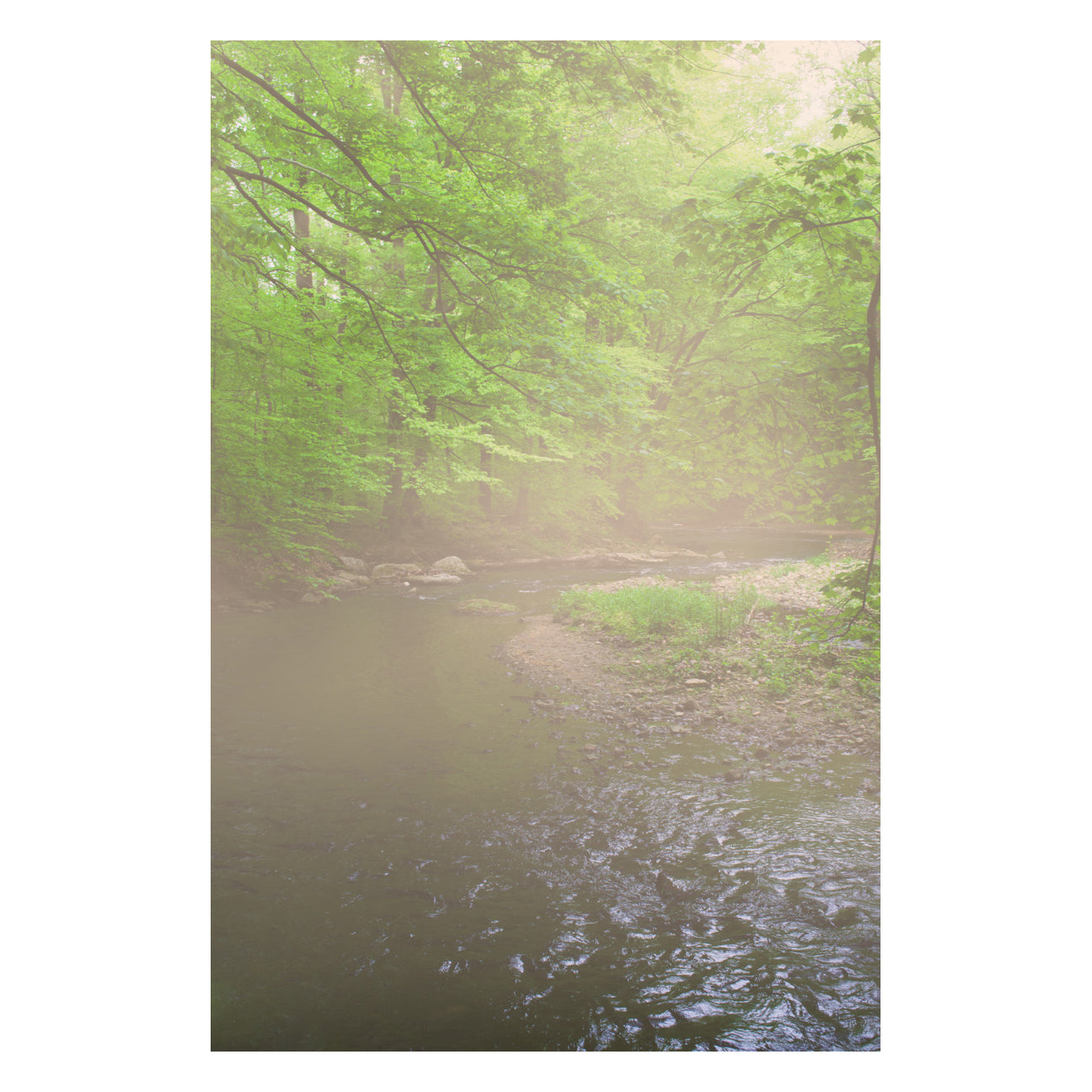 Early Morning Fog on the River Landscape Photo Fine Art Canvas Wall Art Prints - PIPAFINEART