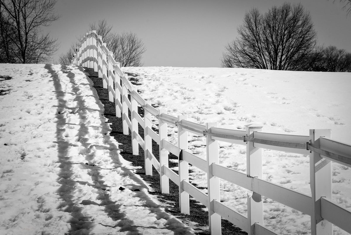 Endless Fences in Black & White Rural Landscape Fine Art Canvas Wall Art Prints - PIPAFINEART