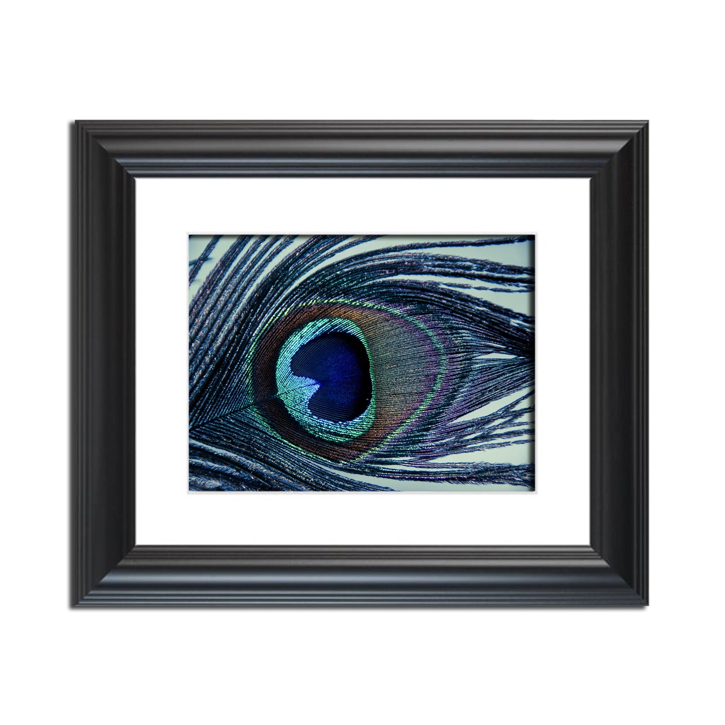 Eye of the Peacock Abstract Photo Fine Art Canvas & Unframed Wall Art Prints  - PIPAFINEART