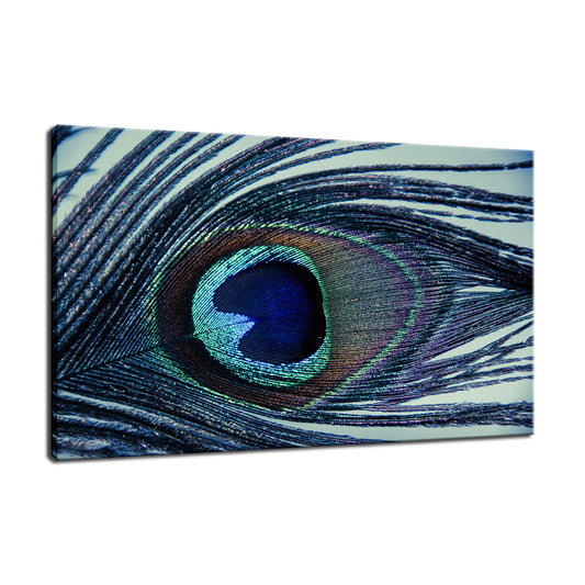 Eye of the Peacock Abstract Photo Fine Art Canvas & Unframed Wall Art Prints  - PIPAFINEART