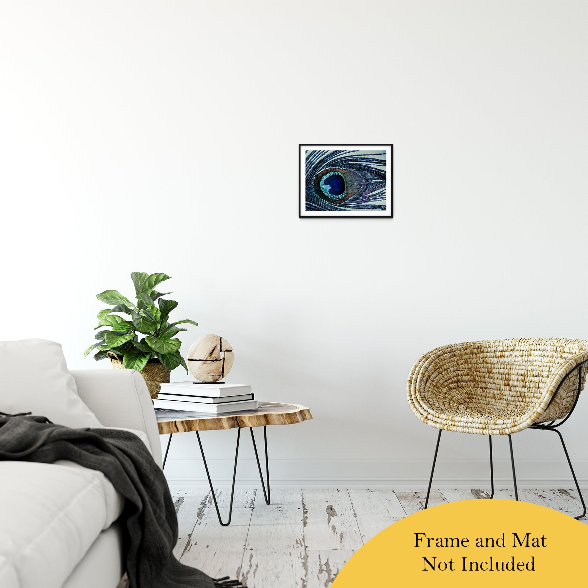 Eye of the Peacock Abstract Photo Fine Art Canvas & Unframed Wall Art Prints 11" x 14" / Classic Paper - Unframed - PIPAFINEART