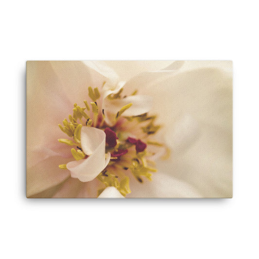 Eye of Peony Moody Midnight Floral Botanical Nature Photo Canvas Wall Art Prints