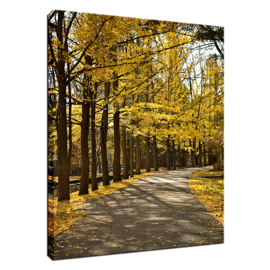 Fall Path Nature Landscape Photo Fine Art Canvas Wall Art Prints - PIPAFINEART