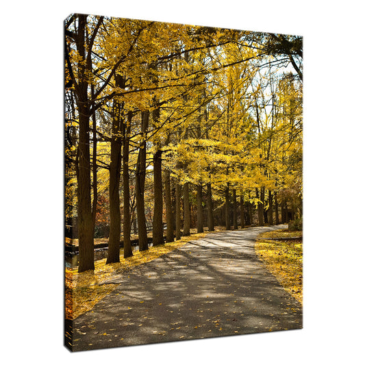 Fall Path Nature Landscape Photo Fine Art Canvas Wall Art Prints  - PIPAFINEART