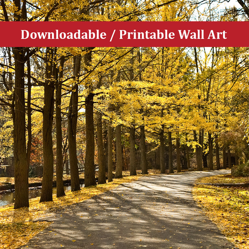 Fall Path Landscape Photo DIY Wall Decor Instant Download Print - Printable - PIPAFINEART