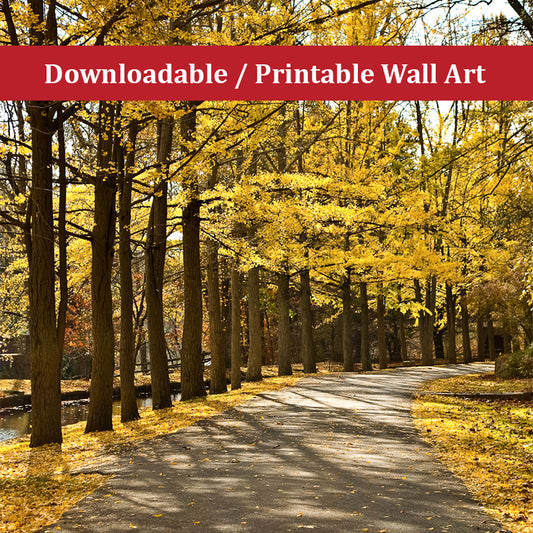 Fall Path Landscape Photo DIY Wall Decor Instant Download Print - Printable  - PIPAFINEART