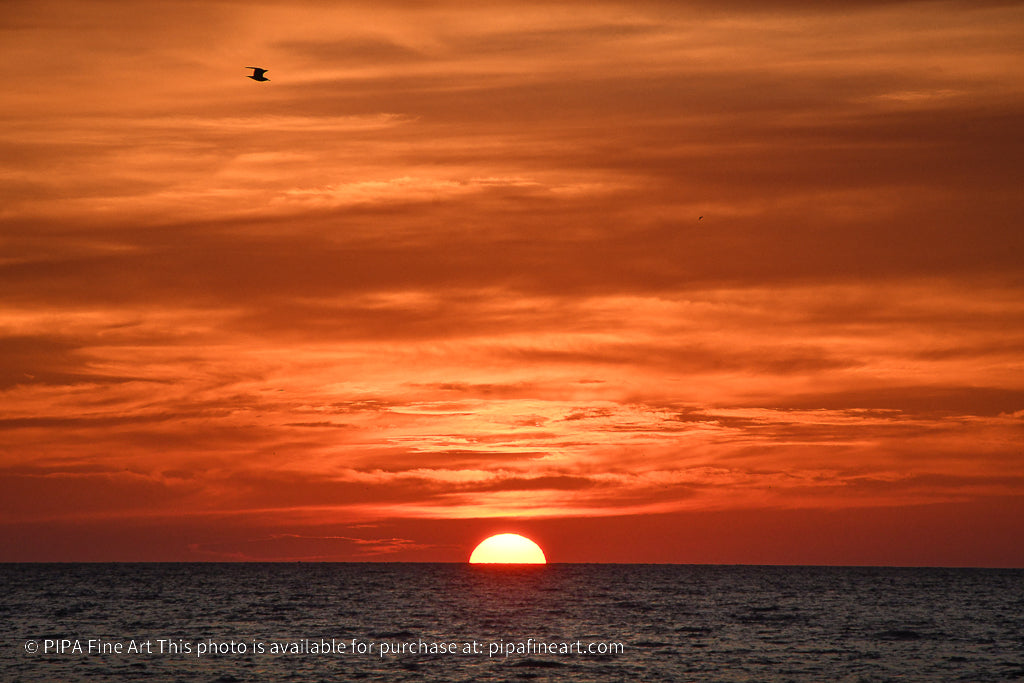Fire in the Sky Coastal Sunset Landscape Fine Art Canvas Prints - PIPAFINEART