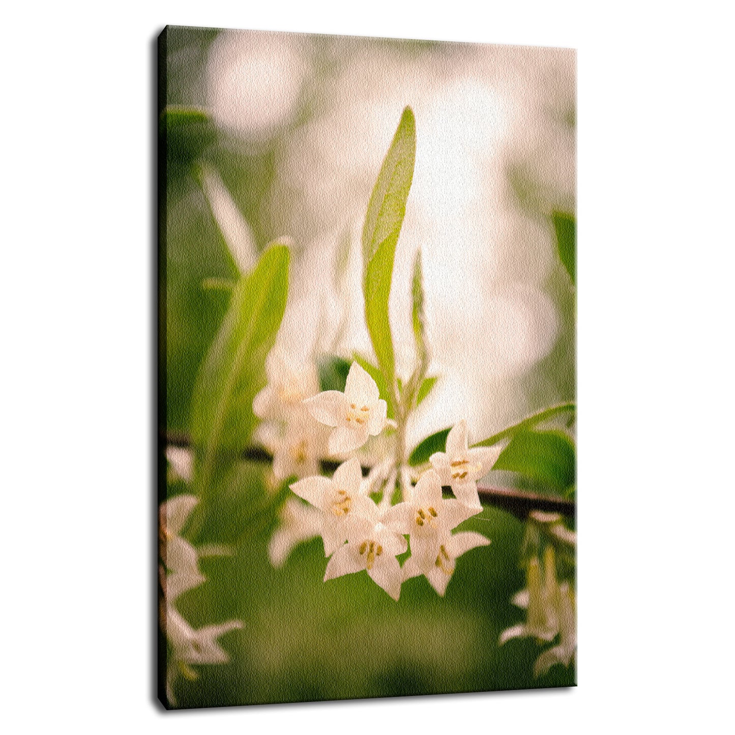 Floral Tranquility Nature / Floral Photo Fine Art Canvas Wall Art Prints - PIPAFINEART