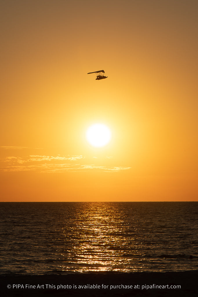 Flying High at Sunset Coastal Landscape Fine Art Canvas Prints - PIPAFINEART