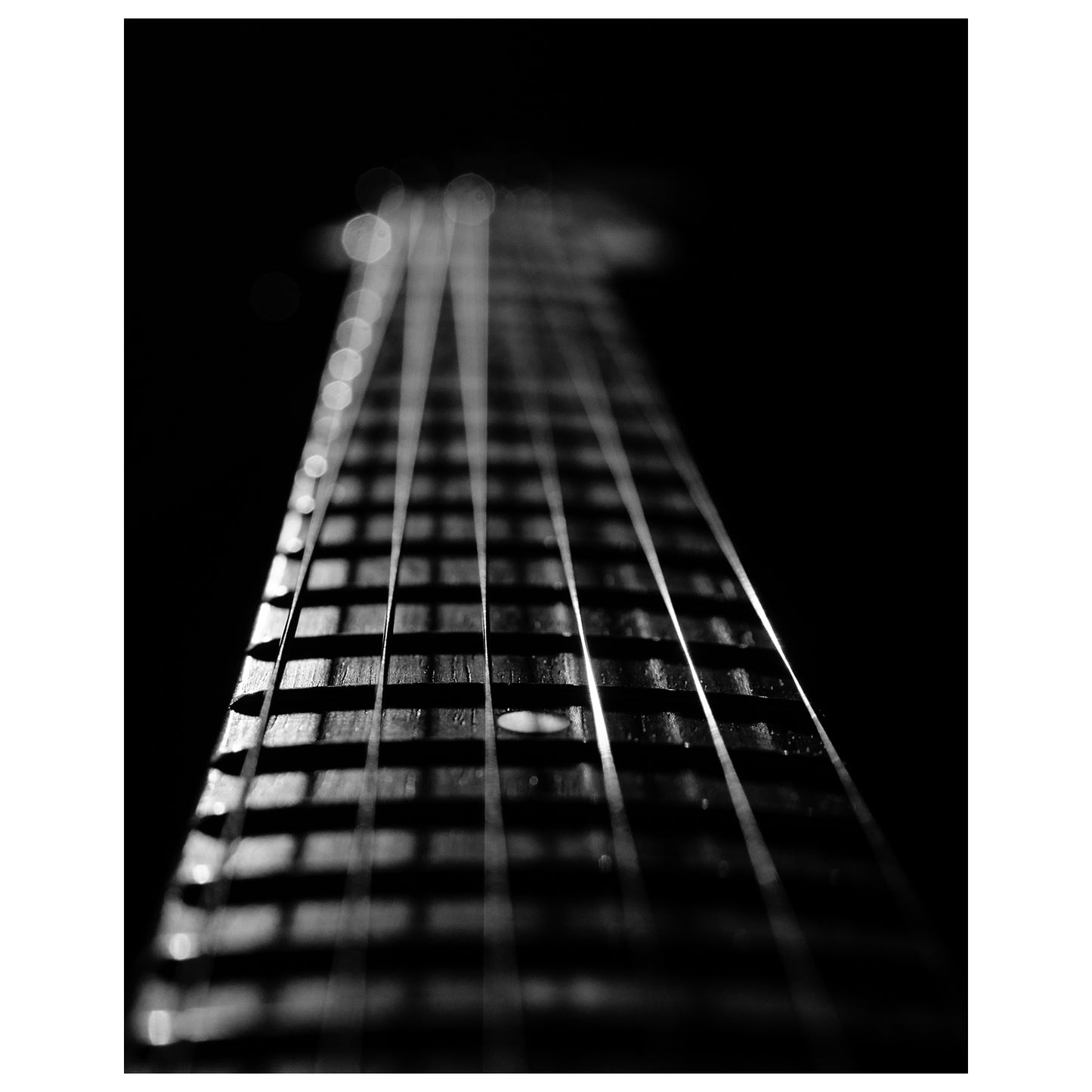 Frets and Cords Black and White Abstract Photo Fine Art Canvas & Unframed Wall Art Prints  - PIPAFINEART