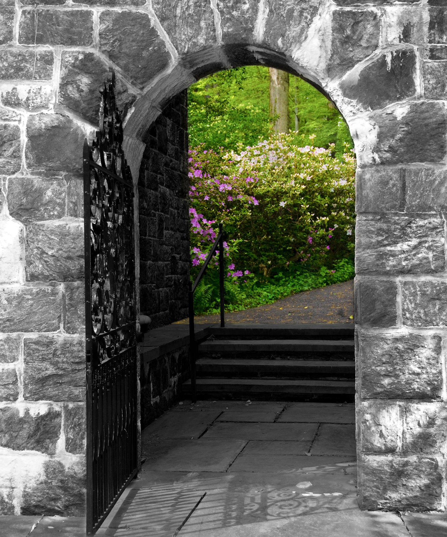Garden Entryway Nature / Floral Photo Fine Art Canvas Wall Art Prints  - PIPAFINEART