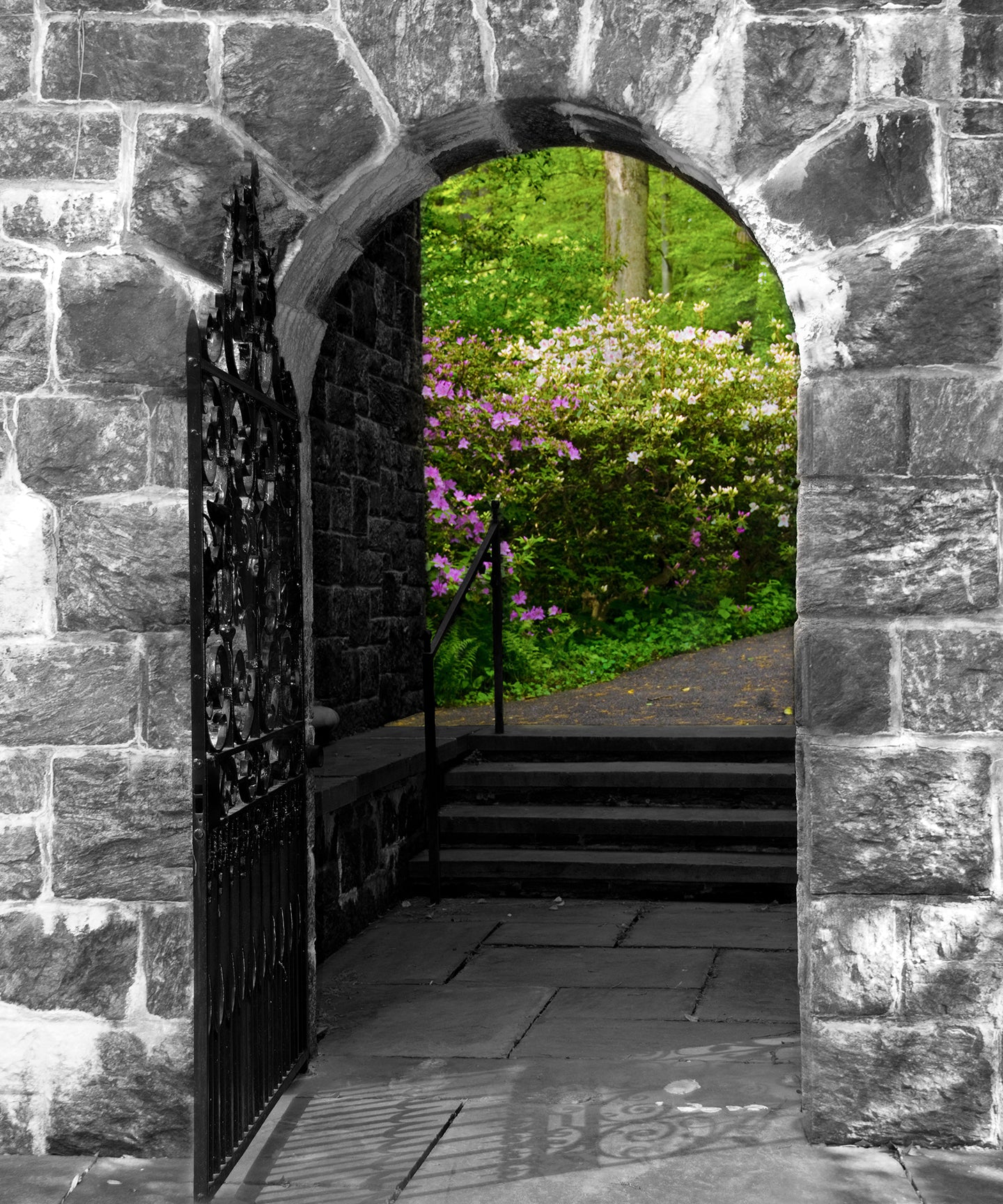 Garden Entryway Nature / Floral Photo Fine Art Canvas Wall Art Prints - PIPAFINEART