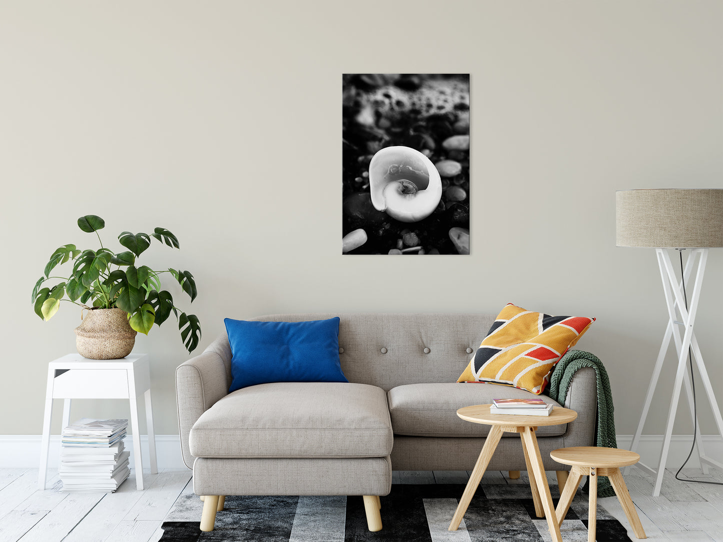 Glowing Beach Shell Black & White Fine Art Canvas Wall Art Prints 24" x 36" - PIPAFINEART