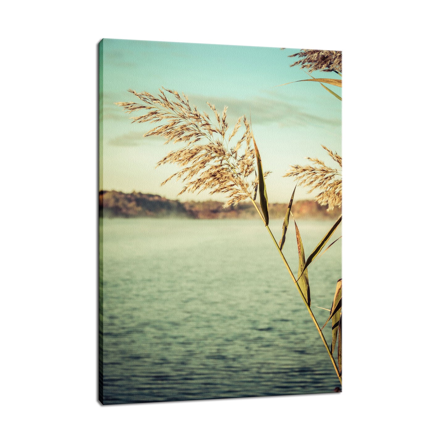 Golden Dreams Botanical / Nature Photo Fine Art Canvas Wall Art Prints - PIPAFINEART