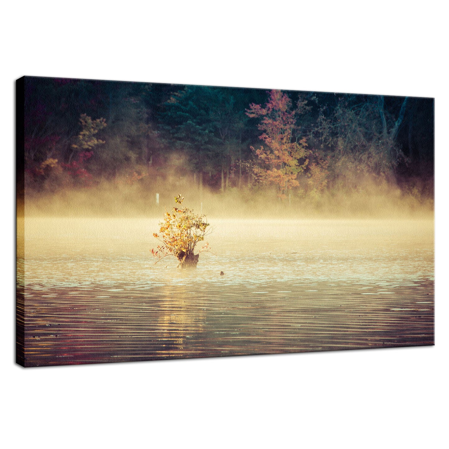 Golden Mist on Waples Pond Landscape Photo Fine Art Canvas Wall Art Prints - PIPAFINEART