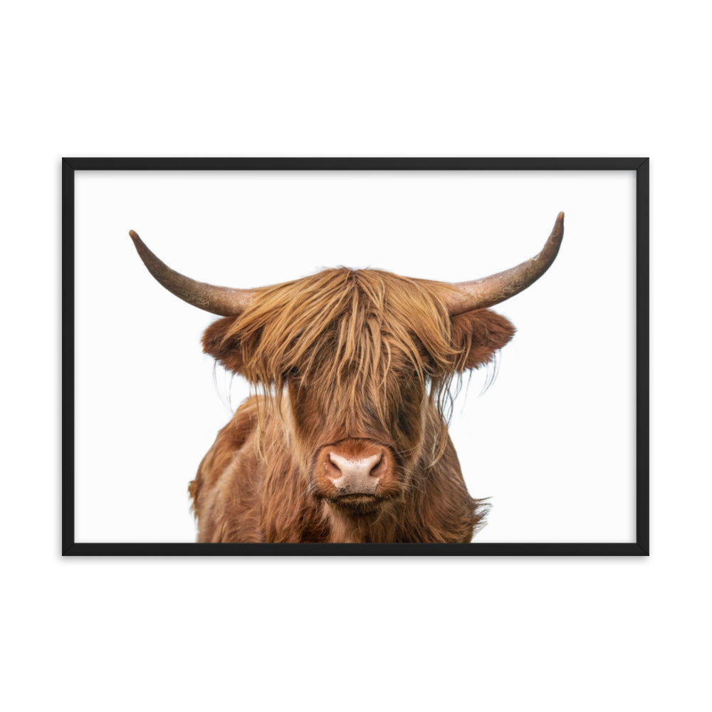 Golden Highland Cow Wildlife / Animal Photo Framed Wall Art Prints