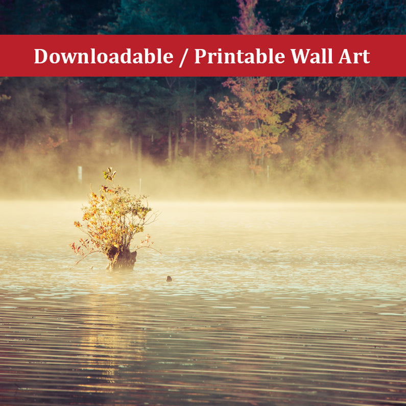 Golden Mist on Waples Pond Landscape Photo DIY Wall Decor Instant Download Print - Printable - PIPAFINEART