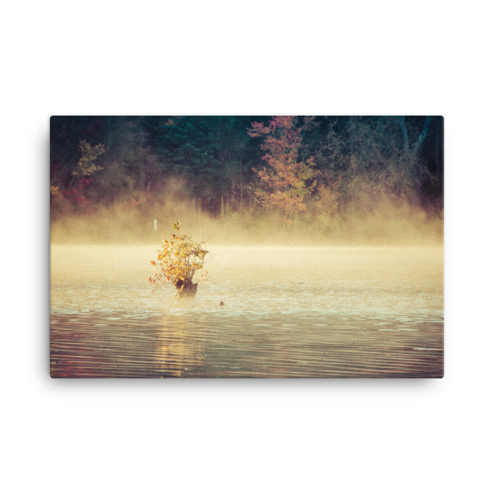 Golden Mist on Waples Pond Rural Landscape Photo Canvas Wall Art Prints