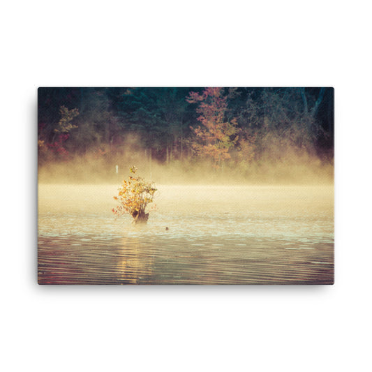 Golden Mist on Waples Pond Rural Landscape Photo Canvas Wall Art Prints