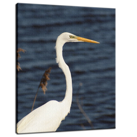 Great White Egret Animal / Wildlife Photograph Fine Art Canvas & Unframed Wall Art Prints  - PIPAFINEART