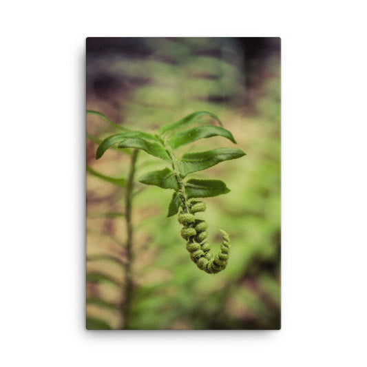 Growth of the Forest Floor Botanical Nature Canvas Wall Art Prints