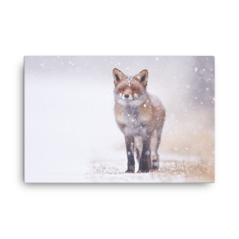 Happy Smiling Red Fox In The Snow Animal Wildlife Nature Photograph Canvas Wall Art Prints
