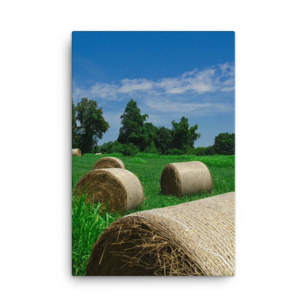 Hay Whatcha Doin' in the Field Rural Landscape Canvas Wall Art Prints