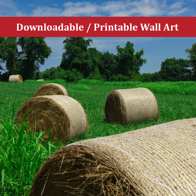 Hay Whatcha Doin' in the Field Landscape Photo DIY Wall Decor Instant Download Print - Printable - PIPAFINEART