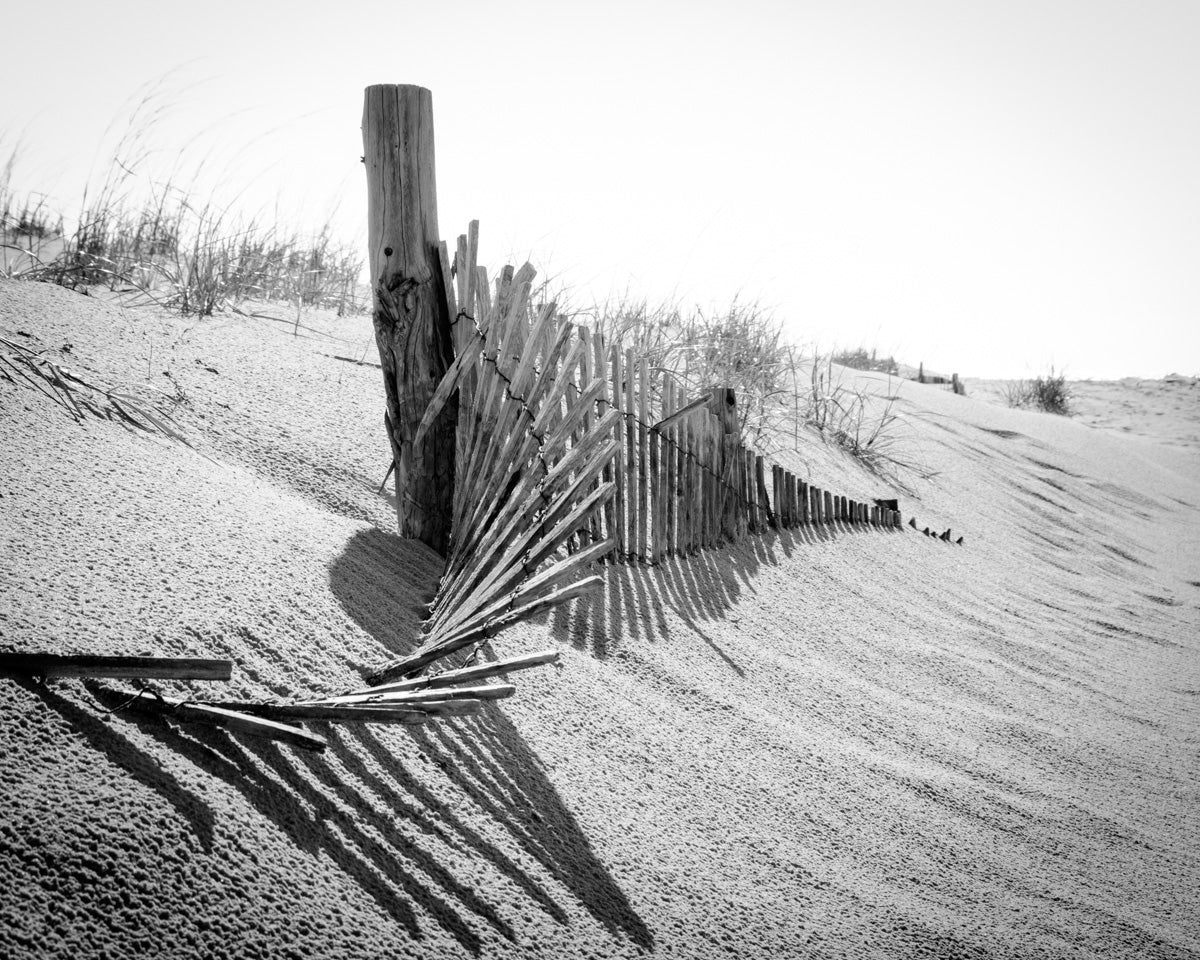 High Key Dunes Coastal Landscape Photograph Fine Art Canvas Wall Art Prints - PIPAFINEART