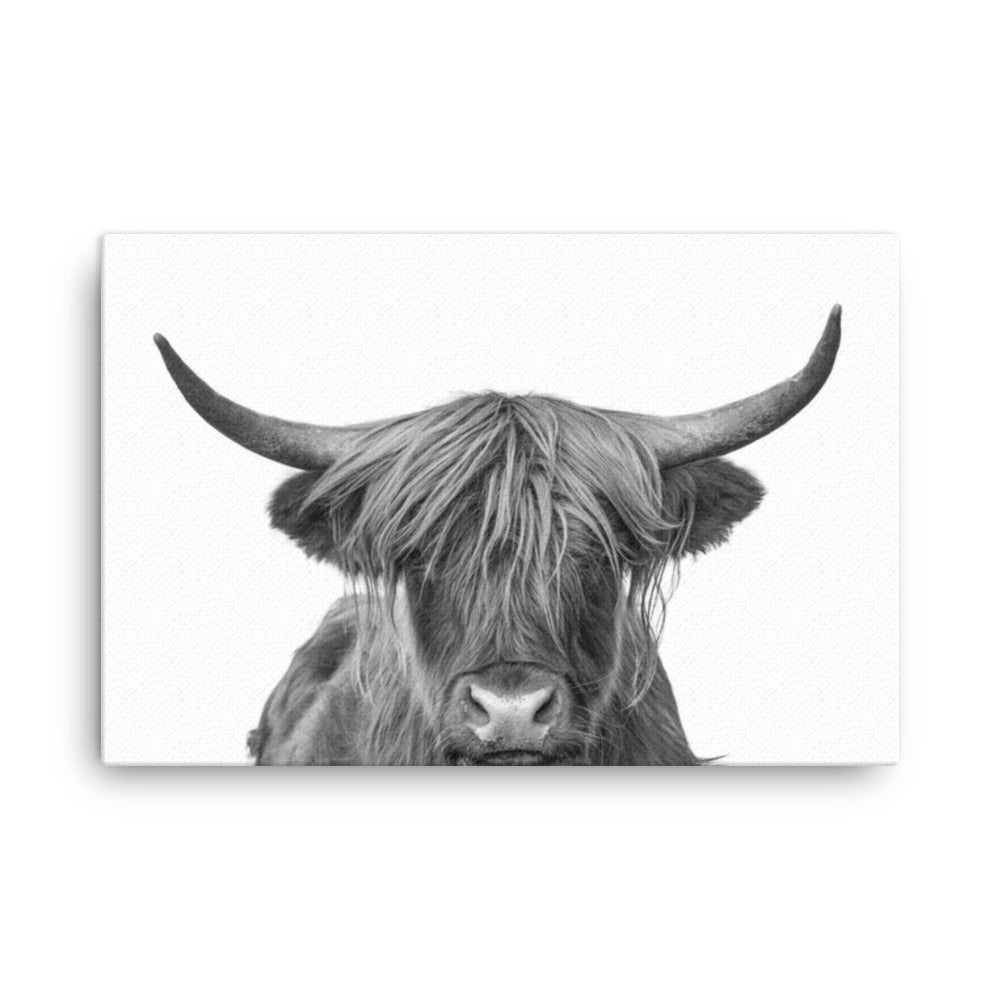 Highland Cow Black and White Wildlife / Animal Photograph Canvas Wall Art Print