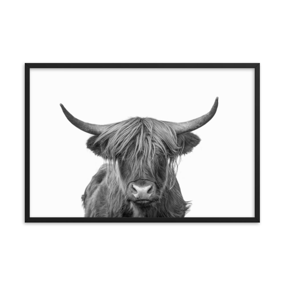 Highland Cow Black and White Wildlife / Animal Photograph Framed Wall Art Print