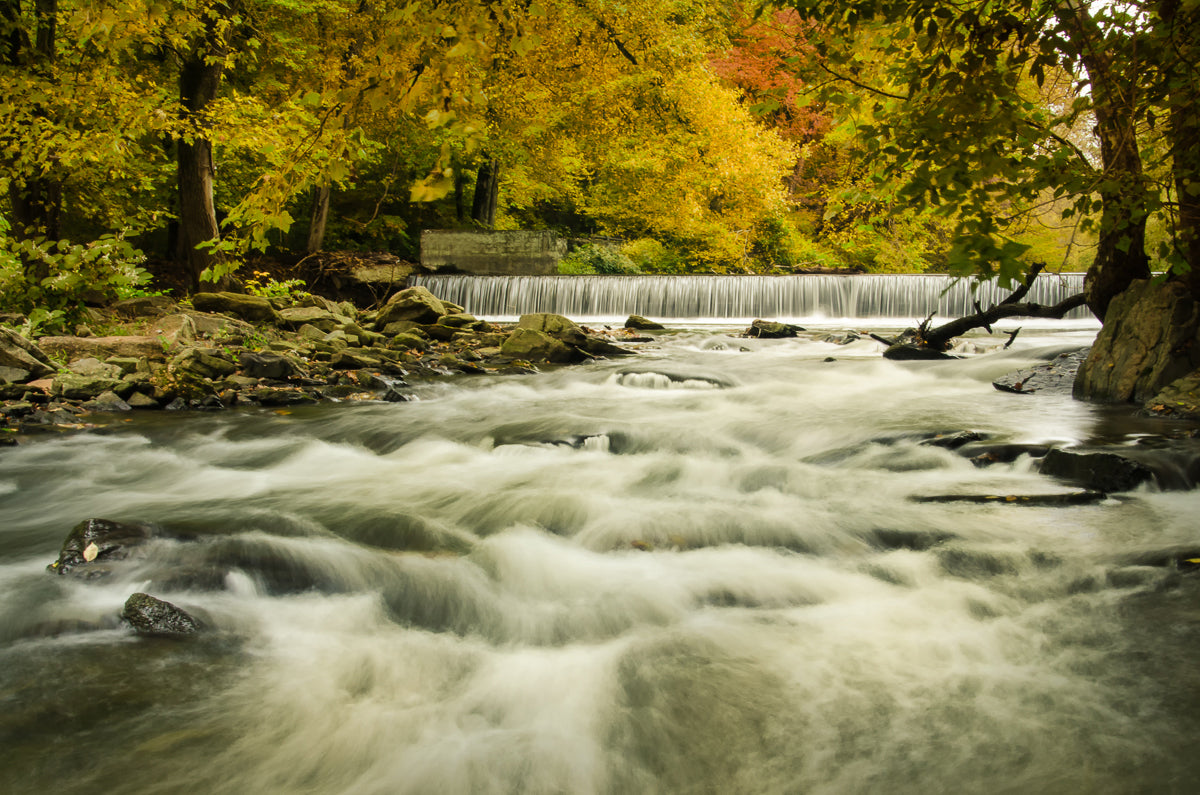 Waterfalls in the Autumn Foliage Landscape Fine Art Canvas Wall Art Prints  - PIPAFINEART