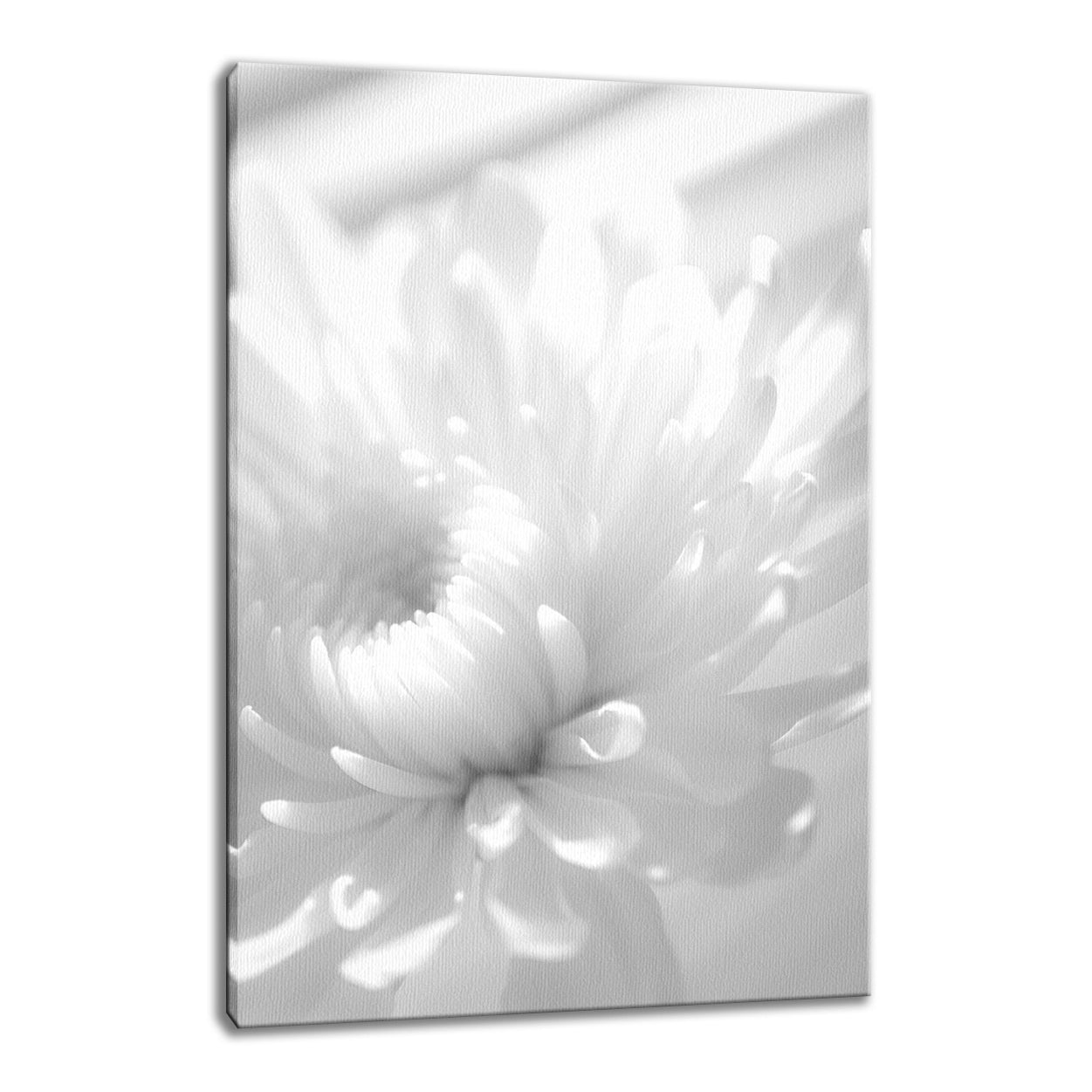 Infrared Flower Nature / Floral Photo Fine Art Canvas Wall Art Prints - PIPAFINEART