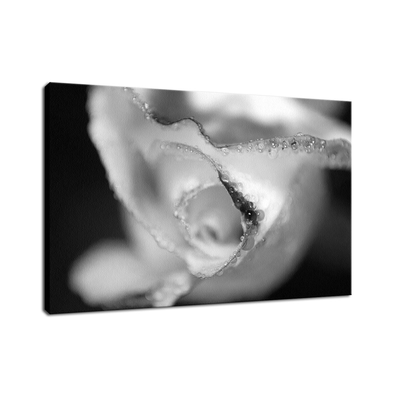 Infrared Rose Nature / Floral Photo Fine Art Canvas Wall Art Prints - PIPAFINEART