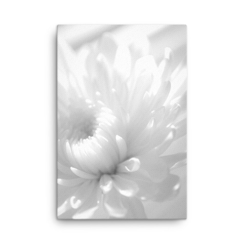 Infrared Flower Black and White Floral Botanical Nature Photo Canvas Wall Art Prints