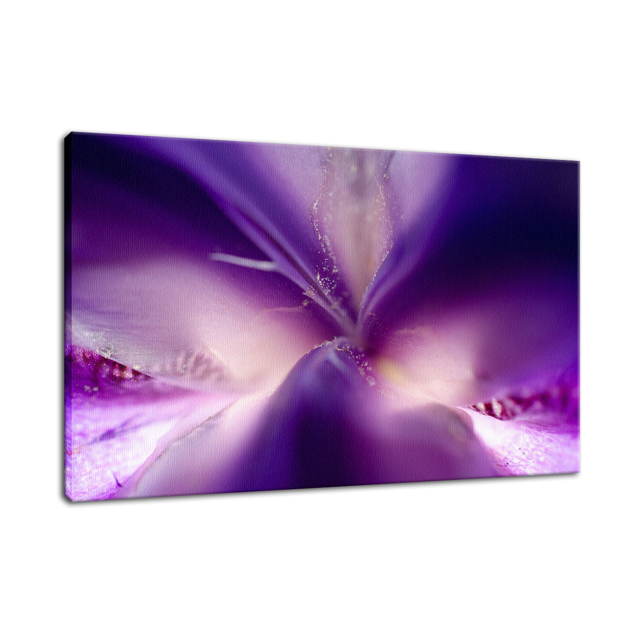 Iris Center Petals Nature / Floral Photo Fine Art Canvas Wall Art Prints - PIPAFINEART