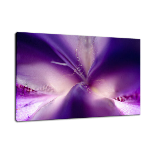 Iris Center Petals Nature / Floral Photo Fine Art Canvas Wall Art Prints  - PIPAFINEART